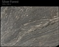 SILVER FORREST CALL 0422 104 588 ABOUT THIS MATERIAL